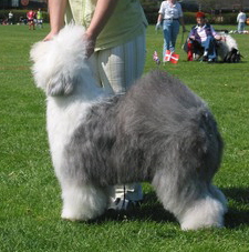 0CAD7MY8DCAJ57JTTCAT4HSIWCAJBYQFICAHVTQM7CA3ZYRHECAESIZIFCA0DI5O1CAO6N43XCAK7DOCACAU0NUFJCAK7QNTTCA98AOJHCAB19JBTCA4B123LCAZPBPA4CA9780K7CA62JG40