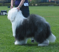 1CABI82IVCA1IVIS8CAE01DOLCA9LA8T9CA1LGSPMCAUI5731CA6BG2MTCAHGGM2PCAZHXTIFCAAHIBR9CA6Z123YCAPKR7P4CA98DSG1CAKIID2XCARSZMS0CAJ9HYIECAPFDT5YCAG1FPLD