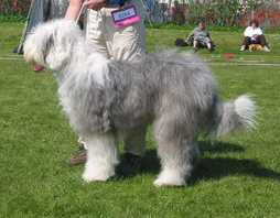 1CAFJ83LUCAXF7IY4CA4LN76ICASV0ML0CA73VOKUCAUQARQSCAQEPGYYCA0NTQLNCAFORNZFCAI0QAT7CA987PNMCA511C74CA9YPF1UCAPPTQQZCAK5IIOSCAY7HUZ9CAU0TCM2CA44NZ6G 1CAFJ83LUCAXF7IY4CA4LN76ICASV0ML0CA73VOKUCAUQARQSCAQEPGYYCA0NTQLNCAFORNZFCAI0QAT7CA987PNMCA511C74CA9YPF1UCAPPTQQZCAK5IIOSCAY7HUZ9CAU0TCM2CA44NZ6G