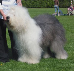 1CAW2ENMTCACUH98PCA70VXLDCA66UNMQCALPLNWACATZ4OUWCA5NN203CAIX6E