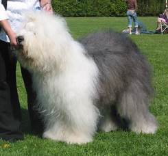 1CAW2ENMTCACUH98PCA70VXLDCA66UNMQCALPLNWACATZ4OUWCA5NN203CAIX6E41CA1LT1OFCANOH923CANM5SKYCA1BJYCJCAJA8VYZCAGWKC2ACA935I36CAVA64JWCAPODR8ZCAQ2L34D