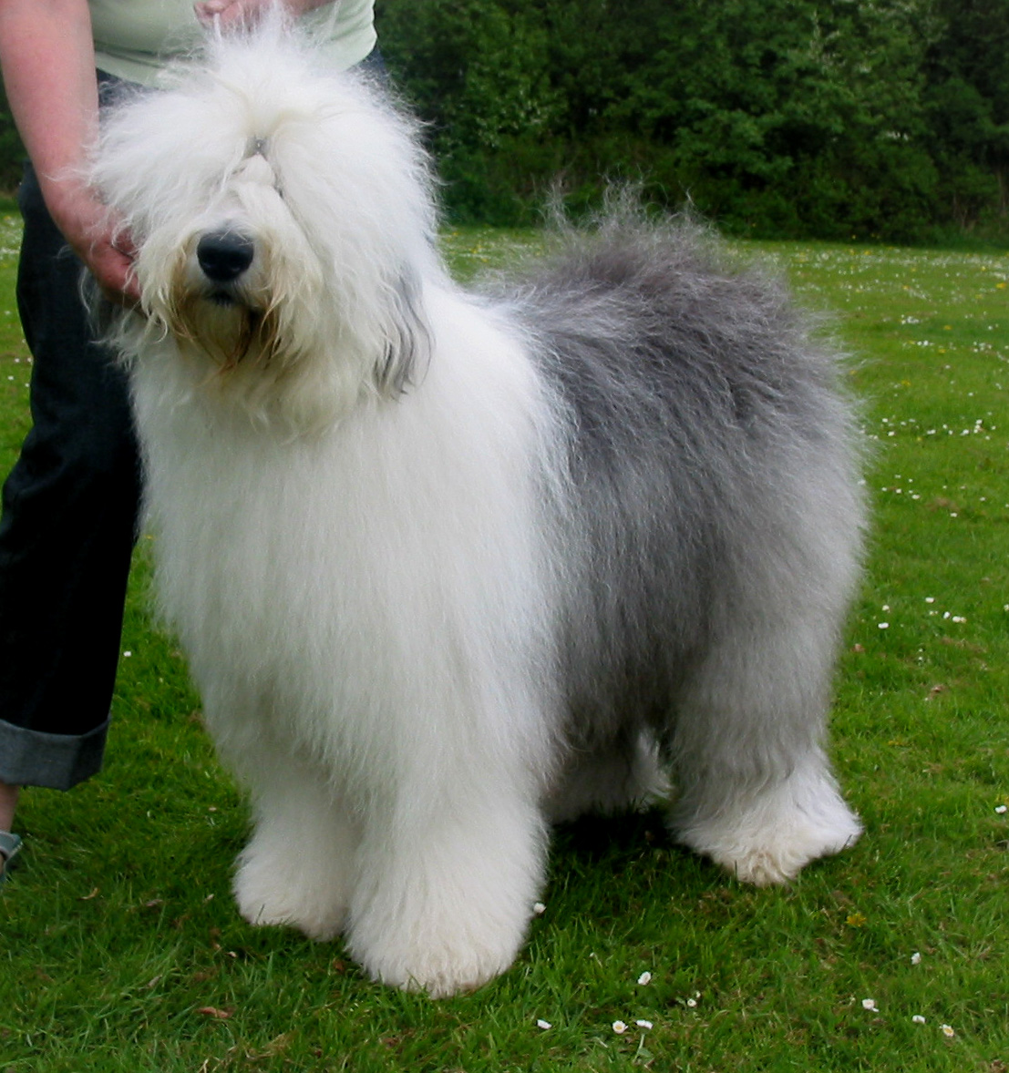 2009 05 03 OES-Special Vadum 101