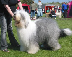 2CALFTLHZCAYHB7ARCAMW1OQKCAR3EF05CAID4KD6CAVCGRGXCAZ2TDALCABVV7C5CAS6AXXXCAH02O40CA39GZOZCAU3QL7KCAA9A8ZTCATVDHSOCAQ1RHCZCAL3PF0JCABFZ2GCCAH1PS4T 2CALFTLHZCAYHB7ARCAMW1OQKCAR3EF05CAID4KD6CAVCGRGXCAZ2TDALCABVV7C5CAS6AXXXCAH02O40CA39GZOZCAU3QL7KCAA9A8ZTCATVDHSOCAQ1RHCZCAL3PF0JCABFZ2GCCAH1PS4T