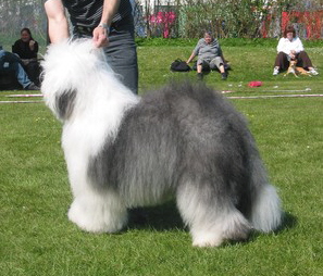 2CAP0F34HCANK96FKCAFJM8XBCARXW0AICANC84L1CAOOEYXQCAPVWKC8CAZ6BQD5CAA77N0OCAFUVVQ9CA5GE2P0CA71ZBHMCA1B8OQ6CAZVH1N1CAS9OPZ9CAKF31KACA037MYECAVCNZH0 2CAP0F34HCANK96FKCAFJM8XBCARXW0AICANC84L1CAOOEYXQCAPVWKC8CAZ6BQD5CAA77N0OCAFUVVQ9CA5GE2P0CA71ZBHMCA1B8OQ6CAZVH1N1CAS9OPZ9CAKF31KACA037MYECAVCNZH0