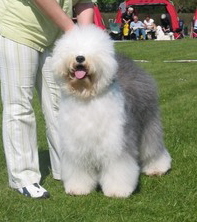 2CAPR0IWECA6EEKO9CA3P752RCA6FF13UCASNY9OKCA6W67IDCAB764YVCAXDTQB4CAZ5MXKHCA64GT8CCA53BYX0CA0OMWKJCA1XFVWKCAOVYRXYCAUMKLV3CA65CSVYCAPHZOK7CA2O9OR3 2CAPR0IWECA6EEKO9CA3P752RCA6FF13UCASNY9OKCA6W67IDCAB764YVCAXDTQB4CAZ5MXKHCA64GT8CCA53BYX0CA0OMWKJCA1XFVWKCAOVYRXYCAUMKLV3CA65CSVYCAPHZOK7CA2O9OR3