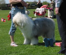 3CA8FDW3KCA2B6R0JCA06BL8FCAA9SFOKCATU9RX5CALSS7U9CAUH3B58CA0X1BGBCAEAGUUYCAYIS92DCAFODH3XCA4XYZTWCAN9U73UCADXR6TICAVH4M2MCAGYFB3UCA36CEAXCAX862WV