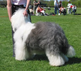 4CA6AX2T1CAB48NF2CANW00KDCAB0FSEBCABU0D50CA6SBZ5VCAVKCSBECAZOKT54CAL3Q1U9CAR0GYNHCA1H57PJCAQAICL7CA9G1F3ECAUJZIHQCAMZ8RMJCA5UAZ25CAU6EO2SCAOK44X8