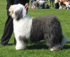 4CAMVZCG7CA1GASBDCA74YVFICAHRVNORCAR7GUOICAHCNVC5CAQZ149MCAYRJSJXCAJ1HX8NCA2V16RUCA9E8TLJCANT0PV1CALR80T9CAIERE5VCA7HD04WCA18QLVFCASLVY3FCAZQDKH2