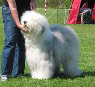 4CAZDBHJTCAD1Z4FHCAD724X6CA5JJ2JWCATEY0RCCAZE7ELDCAZ9XYTDCARN5HR7CARPVGAFCAZAF52DCAYKS2FPCAD2WNWICAQQMILUCA1KEBZYCAFYYPHVCAV9EBOMCA8OIF12CAT0LEA5