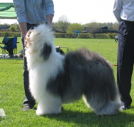 6CAEJ6VWYCA2U834NCAQU0GUFCAS33BPLCAD4MKKUCAT7GGVQCAUWNISLCAMDRL1ECANW3LRCCA00L0ZGCABQE47TCAI5870WCAQO5JXZCAA414X5CAQCWC5XCAE1EXWJCA97G3IDCAKE2P1W