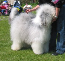 7CA5U9U7SCAM5BMLMCAJ35VDLCACIUY3TCASRXOQACAQ1JVEXCAUA5XO8CAS6JTROCAW3TXZDCAQVH8Q3CAKN9YDNCAFBI6PHCA3TZPV7CAIEG5KBCAALPRDICAIGV7QYCAHG8XDLCALHAGZU 7CA5U9U7SCAM5BMLMCAJ35VDLCACIUY3TCASRXOQACAQ1JVEXCAUA5XO8CAS6JTROCAW3TXZDCAQVH8Q3CAKN9YDNCAFBI6PHCA3TZPV7CAIEG5KBCAALPRDICAIGV7QYCAHG8XDLCALHAGZU