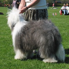 7CAH2LV6YCAZP12TBCARZZ98JCAZJU012CAMO6B91CA1BQU4XCACEKTBDCA9GAFNYCADGFXHBCAEXVVJXCAQKW5QACAIIVAE8CABGAB24CAUGWT6ACAHTBU3ICAUY2CBYCAV8JPQICA4NSCXO