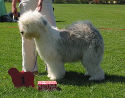 7CAKSIXDZCAWEV2P7CAL52SJACA0GJGT7CAV5BI19CA73SSKGCA1PGRW0CAO4DRCFCACLP11DCADA1WYZCAHLW860CAH483A1CA319HGDCA5CE35VCASN7CHICAZAC8R9CAF3XK3QCAS052O6