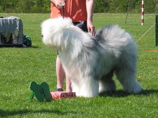 9CA3A521KCAE9RK0VCAX8EMURCA5P3TCXCA2TCVI2CAJ6UY74CA5OFTVOCAH63TM3CATU22D6CAJOWDL7CA3K5Z6ACAAQJKXLCAURT3CYCA1LE1OICASOD29JCA3D6T4QCAZF0G95CA946JWU