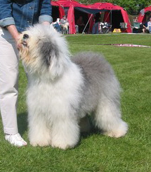 9CAVMFRDLCA4WR3WVCATZT20KCAKL3H5XCAYDD17LCAZ0QPD1CAWNRO3TCATCXM5BCA290AXBCAYYNQS2CAAI5QO4CAUR88B3CAAPH8V6CAEX0SHDCAWAQIHXCARXUSLMCA3W3822CAJ049X2 9CAVMFRDLCA4WR3WVCATZT20KCAKL3H5XCAYDD17LCAZ0QPD1CAWNRO3TCATCXM5BCA290AXBCAYYNQS2CAAI5QO4CAUR88B3CAAPH8V6CAEX0SHDCAWAQIHXCARXUSLMCA3W3822CAJ049X2