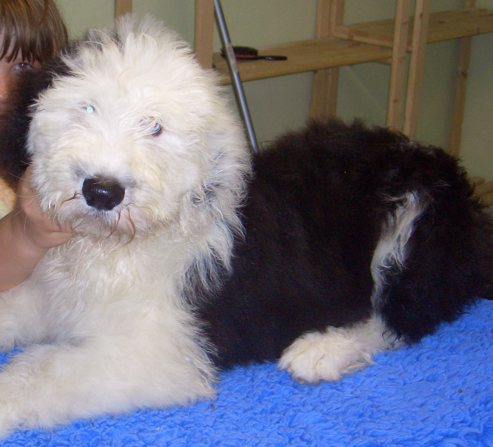 Aufgezeichnet 2008-7-5 00000