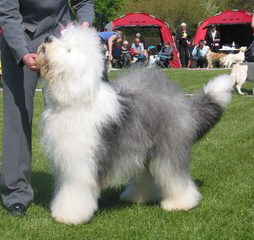 BCAPF5JFNCACABPVOCAKYSM94CAAB0T54CAP8IUHLCAUKKV4TCA9HXVE4CAC1M3VJCA132D25CAEK2Z8VCAM3J79CCAI8T65MCA352DA0CAUL45NUCASLYHZYCAG8RBQ2CAR6DKKICAYZVR9U BCAPF5JFNCACABPVOCAKYSM94CAAB0T54CAP8IUHLCAUKKV4TCA9HXVE4CAC1M3VJCA132D25CAEK2Z8VCAM3J79CCAI8T65MCA352DA0CAUL45NUCASLYHZYCAG8RBQ2CAR6DKKICAYZVR9U