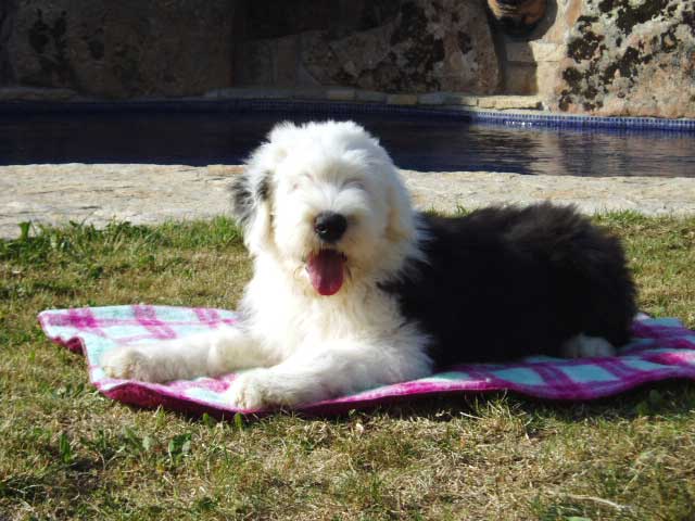 B%B4Surprise-13-weeks1