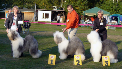 Championklasse-H-alle Championklasse-H-alle