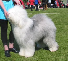 DCA4LWTXECAADK58ACAEPYBFGCAUSISDXCA0KTWPECAQSFFTMCA9HEIBYCAS6INSRCA63U7MICAVEYOIZCAMWEEDCCARTC911CAZF8M7UCAUSKLNVCAGKZIE2CAS5MOAVCA0I47IHCAJBAZO5 DCA4LWTXECAADK58ACAEPYBFGCAUSISDXCA0KTWPECAQSFFTMCA9HEIBYCAS6INSRCA63U7MICAVEYOIZCAMWEEDCCARTC911CAZF8M7UCAUSKLNVCAGKZIE2CAS5MOAVCA0I47IHCAJBAZO5