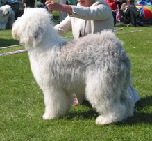 ECA53H1GTCA6QMU0QCATMF6ZGCAMDL6SXCALID0F9CAMD3YTSCALIPRNYCAKYC4HXCAA1Q5MHCANX9VRPCA7YFVBACARFYKFCCA83B68DCABNYVB2CA0D512ICALG7909CA7CRULKCAJA2S8Z ECA53H1GTCA6QMU0QCATMF6ZGCAMDL6SXCALID0F9CAMD3YTSCALIPRNYCAKYC4HXCAA1Q5MHCANX9VRPCA7YFVBACARFYKFCCA83B68DCABNYVB2CA0D512ICALG7909CA7CRULKCAJA2S8Z