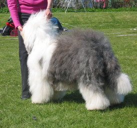 FCA380M24CA3GMOE6CAXNSN4MCAYO15U9CAUMHD5VCA27TSH0CAU7Y613CAT818Q3CA85CW1DCAWCK3LZCAGUXRL1CA11G3D7CA6NAN1TCATJ5916CAC1SGEICATFKGABCAR1560UCANMYPKZ FCA380M24CA3GMOE6CAXNSN4MCAYO15U9CAUMHD5VCA27TSH0CAU7Y613CAT818Q3CA85CW1DCAWCK3LZCAGUXRL1CA11G3D7CA6NAN1TCATJ5916CAC1SGEICATFKGABCAR1560UCANMYPKZ