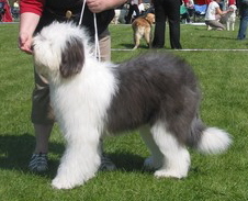 FCAJU9GIACAVK2IQACARRMOP7CAQATXKWCA6OSUU2CAWU8OO4CA7Y0W6NCAU1E6H0CAQ548AYCAF2PUQPCA6ESES7CANBHWMHCAO0B0GRCAE3S1JVCAH29DXNCAXFG2X3CASGGCVBCAU2DEP5 FCAJU9GIACAVK2IQACARRMOP7CAQATXKWCA6OSUU2CAWU8OO4CA7Y0W6NCAU1E6H0CAQ548AYCAF2PUQPCA6ESES7CANBHWMHCAO0B0GRCAE3S1JVCAH29DXNCAXFG2X3CASGGCVBCAU2DEP5