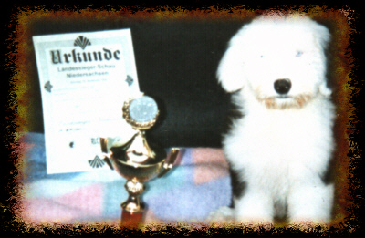 FREDDYWELPEAUSSTELLUNG