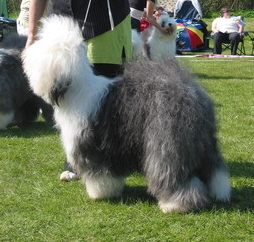 ICA1CEU8CCALPFQKBCAX5J409CAEZMBCKCAJKXNWZCA6J38NCCAJBKR2ACAR4VSEKCA2EGLAJCANPDD97CATL1VTJCADMJ56ECAJM3BXUCA3UFFN7CAEX6WXFCAOI09KECA22DU3HCAK777JE ICA1CEU8CCALPFQKBCAX5J409CAEZMBCKCAJKXNWZCA6J38NCCAJBKR2ACAR4VSEKCA2EGLAJCANPDD97CATL1VTJCADMJ56ECAJM3BXUCA3UFFN7CAEX6WXFCAOI09KECA22DU3HCAK777JE