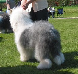 ICAEG8D02CA4SE8RHCAA5N2A2CAKZ24YRCANV6ETZCAXPRAB2CAZYTX8CCAVPECDUCAU5NFWCCAMM1KCPCA1V6HU7CAZOP0X3CAJUBI2PCAAPTAJGCAWLDNRCCALOUJKGCATJYAQHCAYFNYAI ICAEG8D02CA4SE8RHCAA5N2A2CAKZ24YRCANV6ETZCAXPRAB2CAZYTX8CCAVPECDUCAU5NFWCCAMM1KCPCA1V6HU7CAZOP0X3CAJUBI2PCAAPTAJGCAWLDNRCCALOUJKGCATJYAQHCAYFNYAI