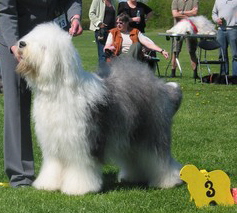 JCAJ8JV16CAKE4KY9CAHW2L14CAXF9EDJCAUAA10BCA8RA4W4CAW2VM8LCAONMAKGCAHVV8YECAMHLEHBCANNPC14CA8ZRDAICA0SGWCHCAE1OJJ6CAW02NUECAGSLKZ8CAK3LLJBCAODMXEI