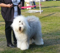 Jugendklasse-H Jugendklasse-H