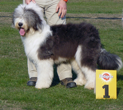 Jugendklasse-R-1 Jugendklasse-R-1