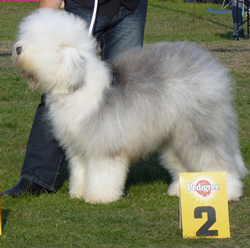 Jugendklasse-R-2 Jugendklasse-R-2