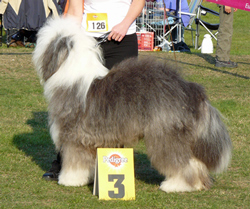 Jugendklasse-R-3 Jugendklasse-R-3