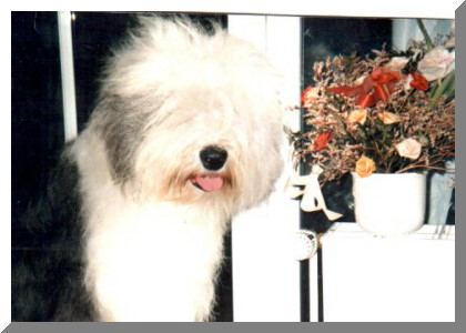 MARY-PORTR�T0001-1