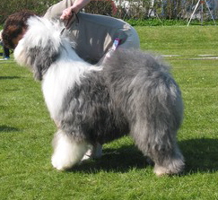 MCAOF2KR9CAR7MPP7CASRWZL8CAX29W0ICAGEAZB2CAYPB34PCAQX4A1MCAK8RFZBCA37WGZXCA9ZTY1KCA3Q3GHMCATN6D0OCA45BHA6CACIA2XACAI6ZBGGCA28BNKVCAUZN02FCAKF35RG MCAOF2KR9CAR7MPP7CASRWZL8CAX29W0ICAGEAZB2CAYPB34PCAQX4A1MCAK8RFZBCA37WGZXCA9ZTY1KCA3Q3GHMCATN6D0OCA45BHA6CACIA2XACAI6ZBGGCA28BNKVCAUZN02FCAKF35RG