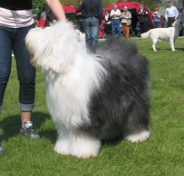 NCA2Z0MEDCAKBRJH1CA6C1JYCCAEEPF2RCABOVDJ8CAI59N0ECAJZKXR3CAKYE0IECAE0W37ICAEKMXQGCAOAZFY6CAWJZROECASIKFGFCABRREFRCAW5XAC0CANE9XOUCA8A1WP3CAUV3SAO