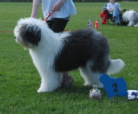 NCADZURQUCAKL9X1KCA1FXUYMCAI76JYCCA7SD1H0CAGU631CCAT247RCCAYRY4VRCACBMEIFCA4WP1SXCA9JGLDKCAF8HYY4CAARU6ERCAT7SL8ZCAHV4KR5CAFNVHTGCADJ9QZWCAB1PM80