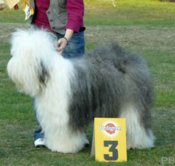 Offene-Klasse-H-3 Offene-Klasse-H-3