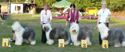 Offene-Klasse-H-alle Offene-Klasse-H-alle