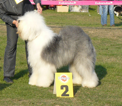 Offene-Klasse-R-2 Offene-Klasse-R-2