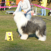 Offene-Klasse-R-3 Offene-Klasse-R-3