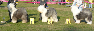 Offene-Klasse-alle Offene-Klasse-alle