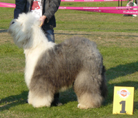 Offenen-Klasse-R-1 Offenen-Klasse-R-1