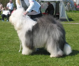 RCALMSHT5CARN2XMXCA5J3ZH7CA7FDKH4CA3YHL82CA7LTVB1CAAY8S31CALQEPZJCA8UOL77CA25TH3VCA45E3KFCAE0QQVKCANK2N3BCATDC8ZGCANKJNW4CAENSYFOCAMTBQ31CAOXRIOF RCALMSHT5CARN2XMXCA5J3ZH7CA7FDKH4CA3YHL82CA7LTVB1CAAY8S31CALQEPZJCA8UOL77CA25TH3VCA45E3KFCAE0QQVKCANK2N3BCATDC8ZGCANKJNW4CAENSYFOCAMTBQ31CAOXRIOF