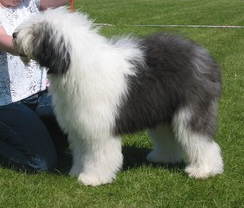 RCAOFFD66CAOQ7Y05CACAVHHUCACIAIJYCARNZGYJCA9F8VIVCAGSWOB1CA759YN1CAWY1KVWCAN0WP7XCABD8WLUCA0TQNFRCAP2BA43CAAQA64ECAYFN3R7CAW0IGYQCA43I1X7CA3PGCA8 RCAOFFD66CAOQ7Y05CACAVHHUCACIAIJYCARNZGYJCA9F8VIVCAGSWOB1CA759YN1CAWY1KVWCAN0WP7XCABD8WLUCA0TQNFRCAP2BA43CAAQA64ECAYFN3R7CAW0IGYQCA43I1X7CA3PGCA8