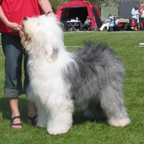 RCAQHQEKSCASA702NCANW7AVICAYPJG3QCAHGVU6ICA6QD65HCARWCIQ4CA31HIX6CA3REP33CAIUSHRUCACWXOYECA9S28C8CAGEN007CAJZQJU8CA04P0DHCATRFHVHCAMP4ZVKCANNAZRJ RCAQHQEKSCASA702NCANW7AVICAYPJG3QCAHGVU6ICA6QD65HCARWCIQ4CA31HIX6CA3REP33CAIUSHRUCACWXOYECA9S28C8CAGEN007CAJZQJU8CA04P0DHCATRFHVHCAMP4ZVKCANNAZRJ