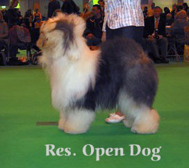 Resopendog