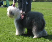 UCAKBUEWACALZ845CCA58FYV9CA3P1S5BCA9KW1J1CA08BOL6CA2HZ7K4CA5YLL19CARBTHRUCAJSFM2PCAJO7AUNCA1YLSTSCAX64FFOCA08F5JMCARO6FWVCAQKH96FCA03N5RSCAX1PO9J